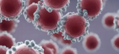 There is a 42% chance of Vancomycin-resistant Enterococci (VRE) being present on hospital curtains which can survive up to 80 days on polyester.